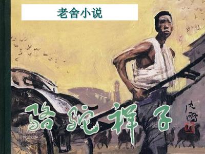 草莓视频污污污污污